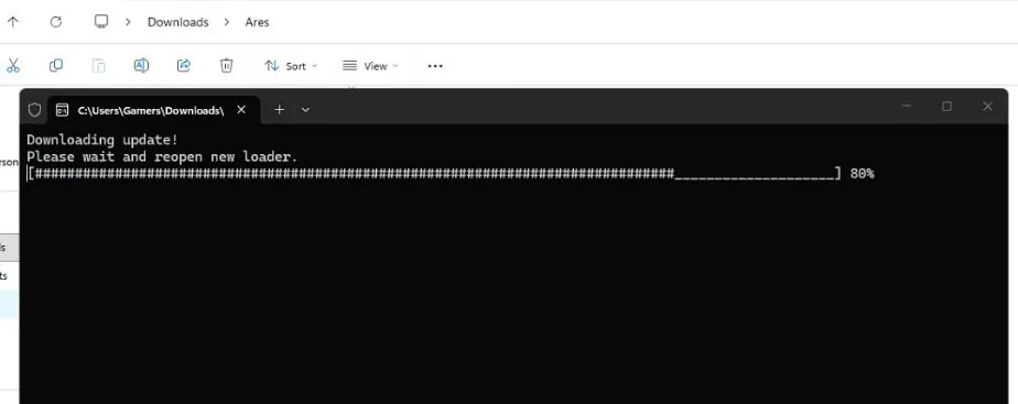 The loader console downloading the latest update