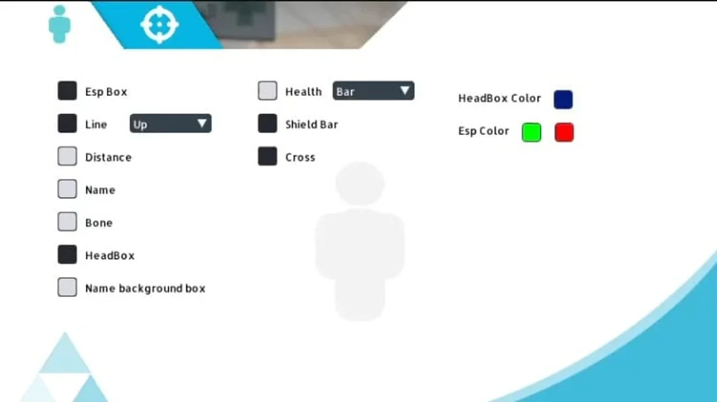 Counter-Strike 2 Hyperion ESP menu with box, skeleton, health and armor bars and colour options